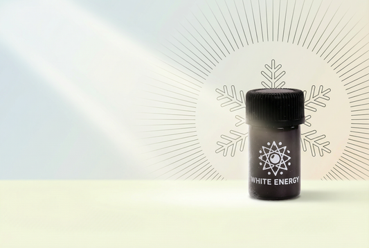 Energy Sniff Energie im Winter