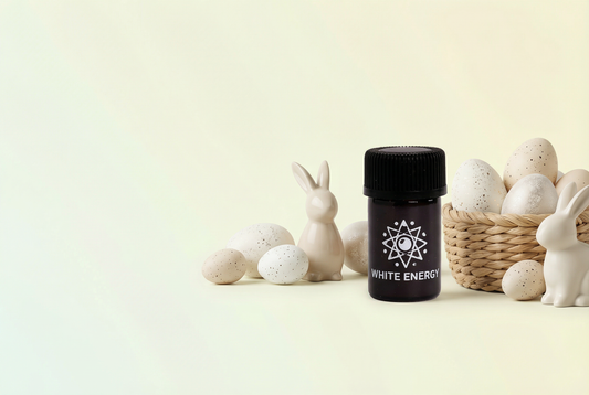 Ostern trifft Focus: Der Focus Sniff White Deal für dein langes Wochenende